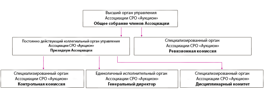 Общая структура Ассоциации
